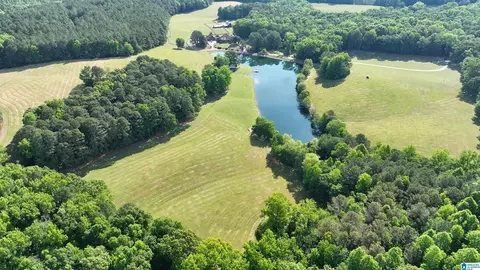 View/Area - 5145 Pine Mountain Rd, Remlap, AL 35133 photo 12 of 17