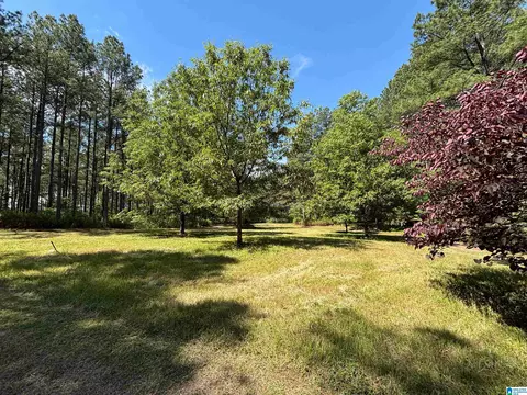 Exterior - 5145 Pine Mountain Rd, Remlap, AL 35133 photo 11 of 11