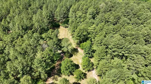 Other - 5145 Pine Mountain Rd, Remlap, AL 35133 photo 24 of 41