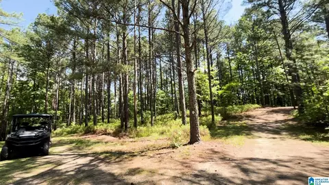 Other - 5145 Pine Mountain Rd, Remlap, AL 35133 photo 26 of 41