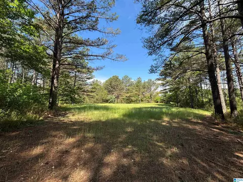 Other - 5145 Pine Mountain Rd, Remlap, AL 35133 photo 36 of 41
