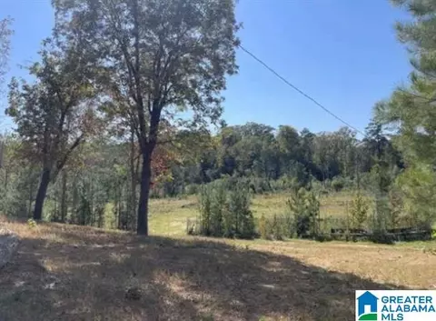 hill creek drive, West Blocton, AL 35184