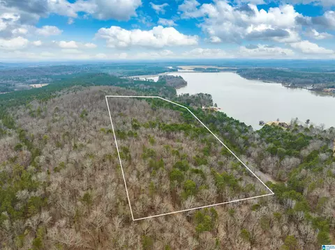 34 Acres- Mtn Constellation Drive Apt 34 Acres-mtn Tract One #34+ ACRES-MTN TRACT ONE, Alpine, AL 35014