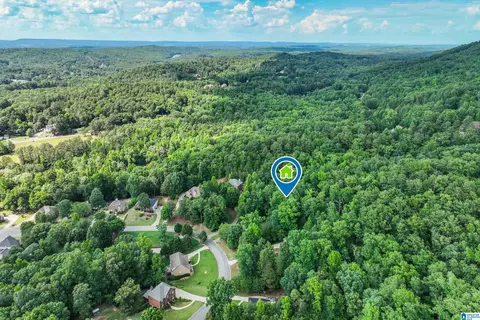 208 Silverleaf Dr, Pelham, AL 35124 photo 44