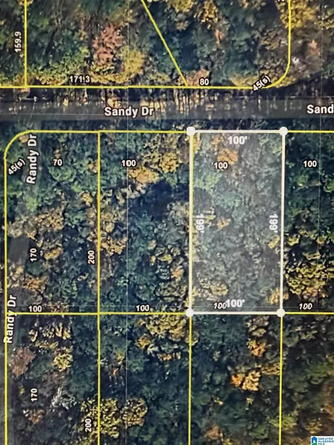 10 Sandy Dr #10, Mc Calla, AL 35111