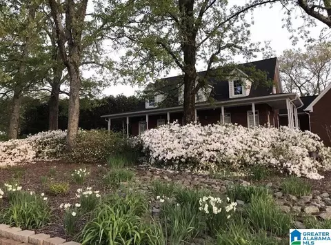 399 Macdonald Lake Rd, Springville, AL 35146