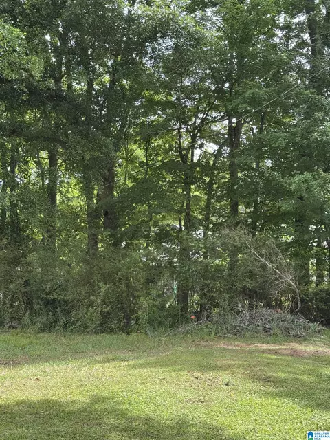 2 Red Fox Run #32-A, Birmingham, AL 35242