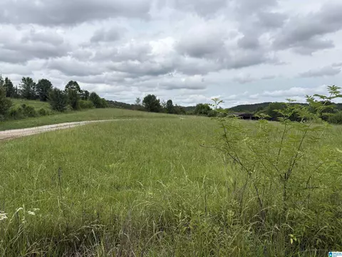 0 County Highway 13 #0, Cleveland, AL 35049