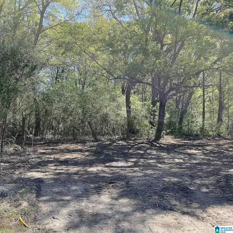490 Gregory Rd, Jasper, AL 35503 photo 18