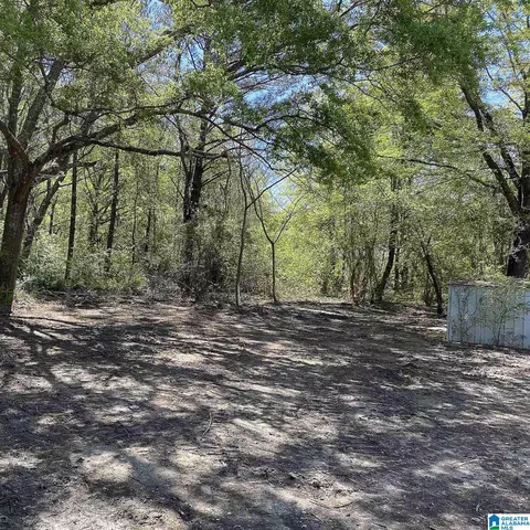 490 Gregory Rd, Jasper, AL 35503 photo 19
