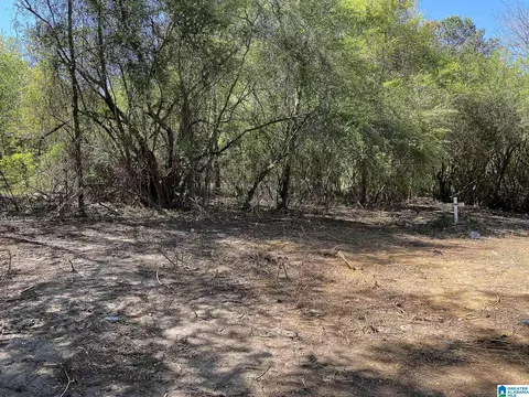 490 Gregory Rd, Jasper, AL 35503 photo 17