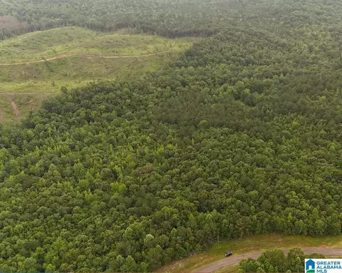 0 County Road 804 #1, Wedowee, AL 36278