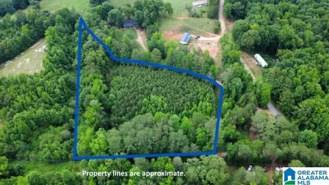 UNKN County Road 606 #3.4, Heflin, AL 36264
