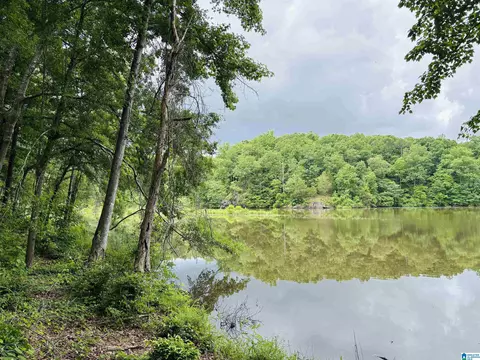 Lot 8 County Road 499 #8, Woodland, AL 36280