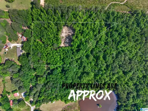0 Pruitt Rd #0, Piedmont, AL 36272