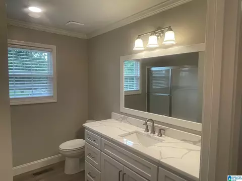 Bath - 95 Jones Loop Rd, Parrish, AL 35580 photo 1 of 2