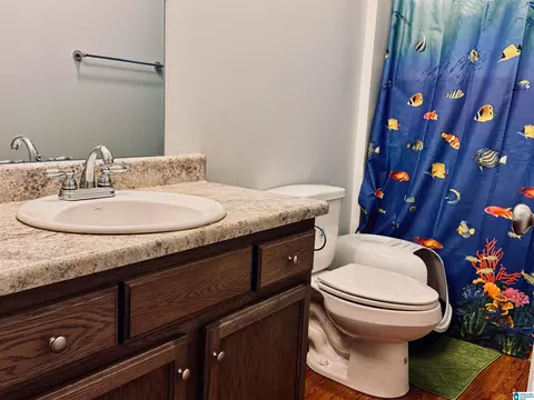 Bath - 804 Cheyenne Dr, Warrior, AL 35180 photo 3 of 3