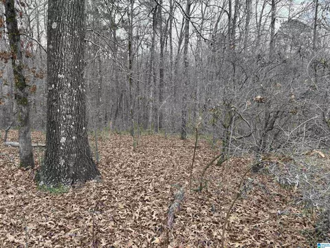 9906 Trammel Rd #1.63 ACRES, Dora, AL 35062
