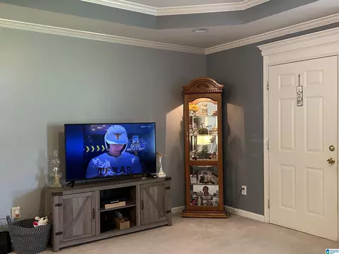 Entry Way - 13219 Abernant Loop Rd, Vance, AL 35490 photo 1 of 2