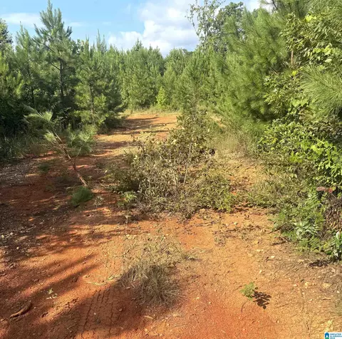 0 County Road 49 #0, Muscadine, AL 36269