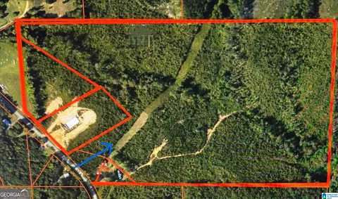 0 County Road 49 #0, Muscadine, AL 36269