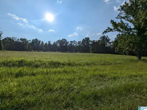 0 Poplar Springs Rd #0, Ashville, AL 35173