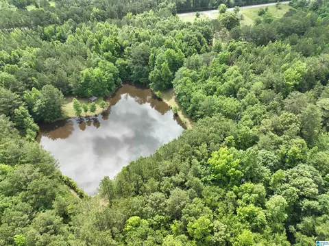 View/Area - 28295 Highway 431, Five Points, AL 36855 photo 2 of 2
