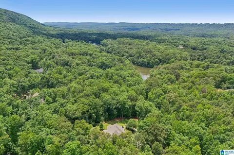 Other - 336 Stonegate Dr, Birmingham, AL 35242 photo 22 of 24