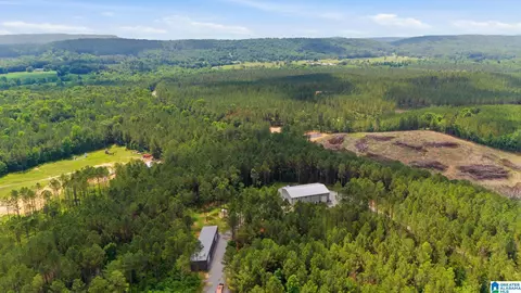 2575 Saint Clair Rd, Springville, AL 35146