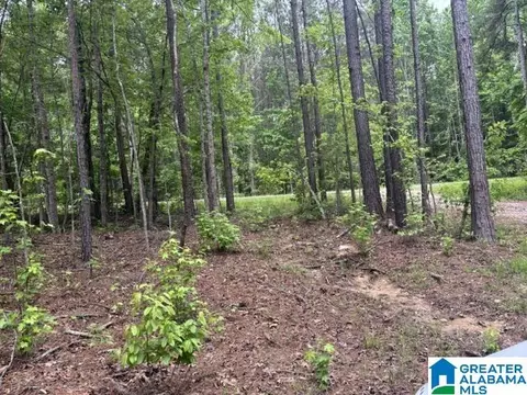 343 County Road 892 #TRACT 1, Wedowee, AL 36278