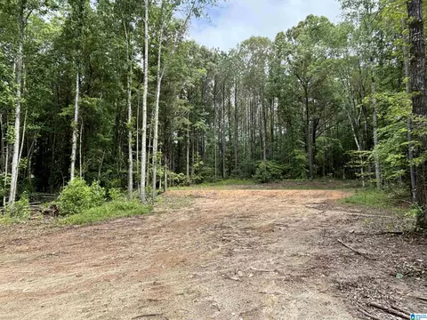 343 County Road 892 #TRACT 2, Wedowee, AL 36278