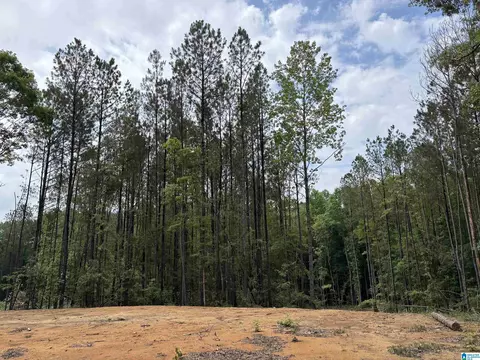 343 County Road 892 #TRACT 3, Wedowee, AL 36278