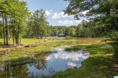 89 Golden Pond Rd #9, Ashville, AL 35953