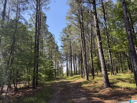 89 Golden Pond Rd #9, Ashville, AL 35953