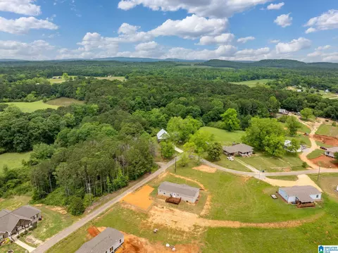 55 S T Smith Ct #/ 12, Cropwell, AL 35054