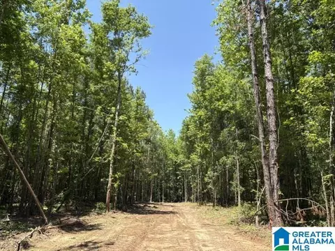 0 Highway 191 #1, Maplesville, AL 36750