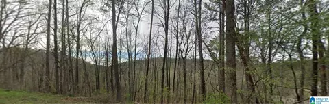 0000 Red Valley Rd #00000, Remlap, AL 35133