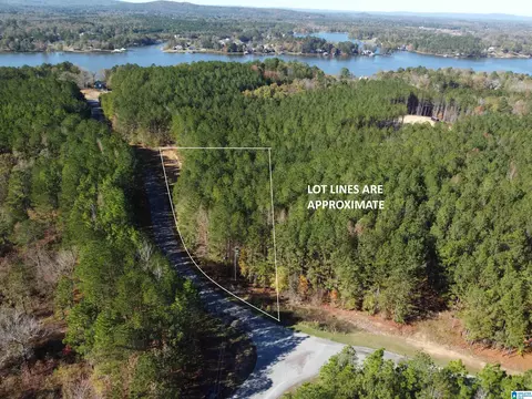 lot221 Shore Side Ln #221, Sylacauga, AL 35151