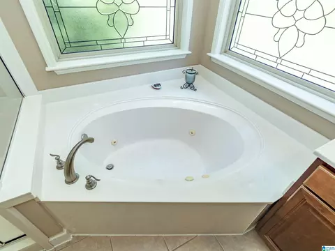 Bath - 11816 Forge Cir, Mc Calla, AL 35111 photo 3 of 9