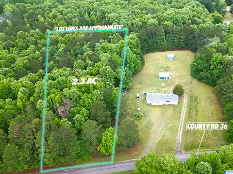 UNKN County Road 36 #2.33, Heflin, AL 36264