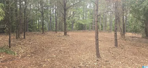 0 County Road 82 #1, Lawley, AL 36793