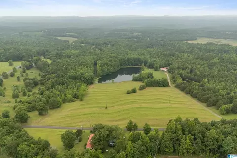 1484 Jones Chapel Loop #1484, Springville, AL 35146