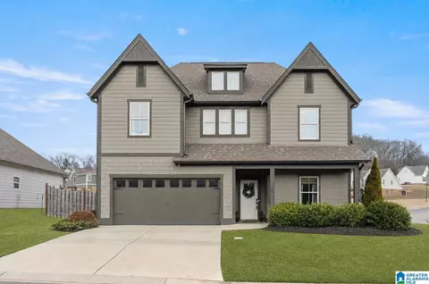 10 Macdonald Cv, Springville, AL 35146