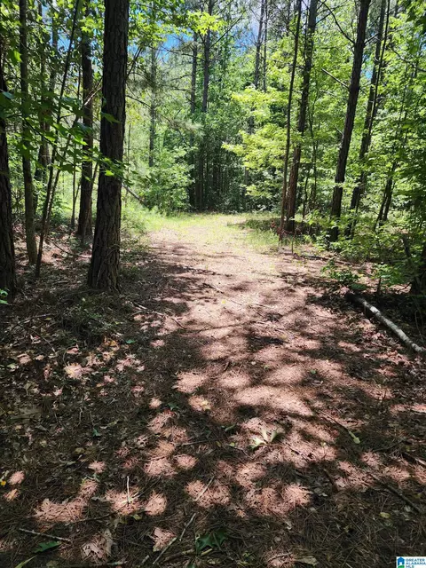 county road 26, Wadley, AL 36276