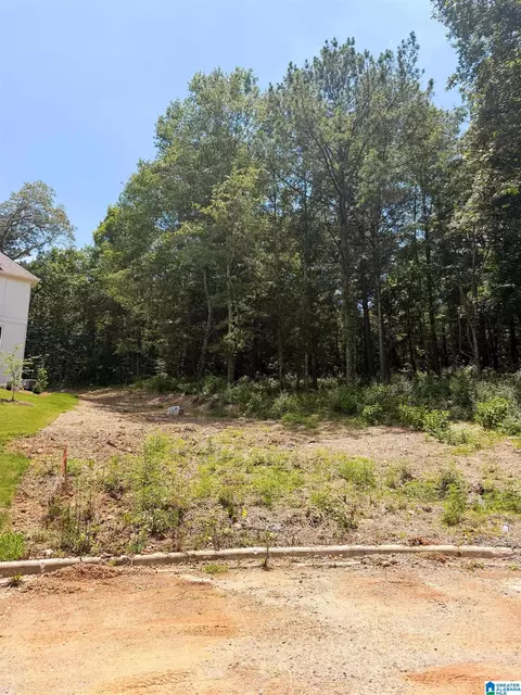 248 Mountain Lake Trl #22, Alabaster, AL 35007