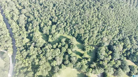 0 County Road 26 #0, Columbiana, AL 35051