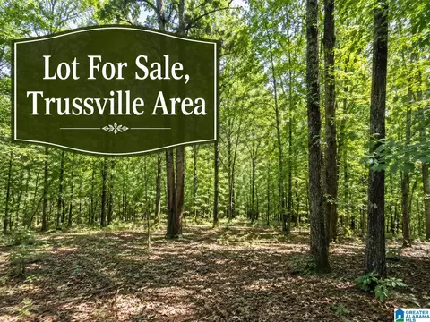 3233 Robert Lee Rd #LOT S 8&9, Trussville, AL 35173
