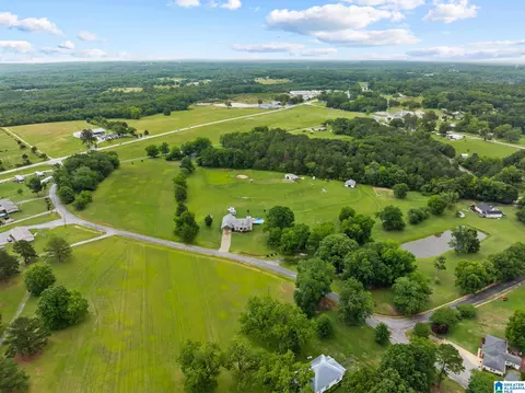 View/Area - 400 Cobb Dr, Jemison, AL 35085 photo 10 of 11
