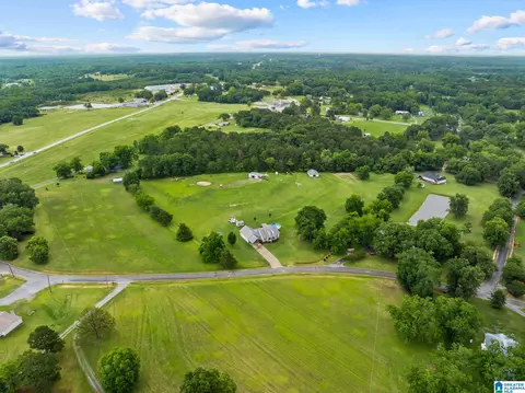 View/Area - 400 Cobb Dr, Jemison, AL 35085 photo 9 of 11