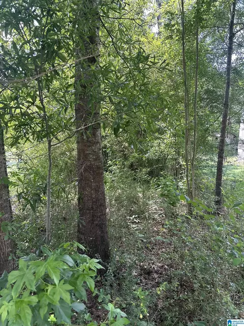 0 Limbaugh Rd #0, Sylacauga, AL 35150